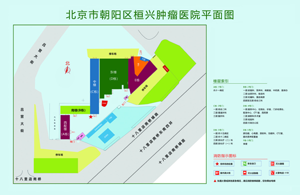 好吊操逼咪咪爱北京市朝阳区桓兴肿瘤医院平面图